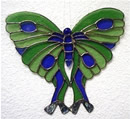 Abalone Butterfly